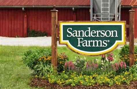 sanderson farms careers|sanderson farms employment opportunities.